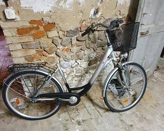 Damenfahrrad CURTIS © Stadt Werneuchen