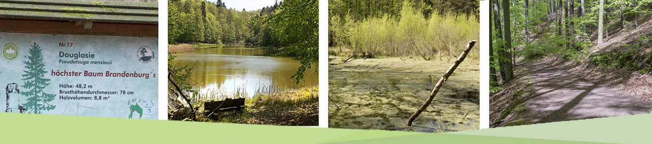 Rundweg Baa-See&nbsp;&copy;&nbsp;Dr. Karl Lehmann