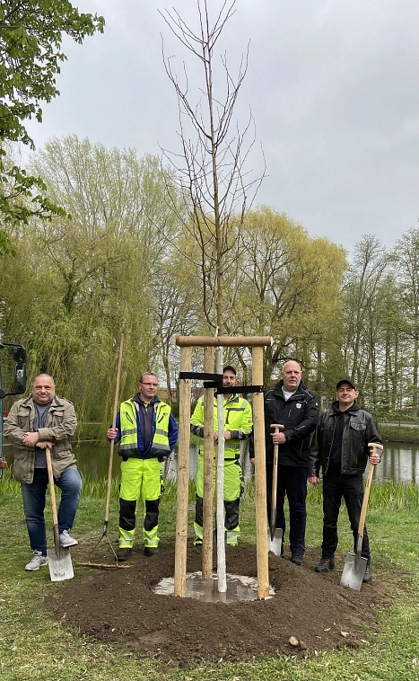 Tag des Baumes 2023&nbsp;&copy;&nbsp;Stadt Werneuchen